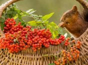 9 сентября. Приметы дня