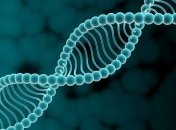 Учеными был обнаружен ген пессимизма