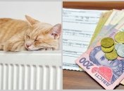 Механизм оформления помощи упростят