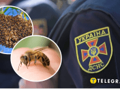 Спасатели ликвидировали два гнезда пчел в Тернопольской области