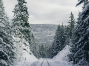 Яке церковне свято 11 січня 2025 - День пам'яті преподобного Теодосія Великого