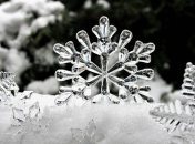 10 января - приметы и обряды в Домочадцев день