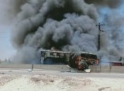 В Египте полицейский фургон столкнулся с грузовиком, много погибших