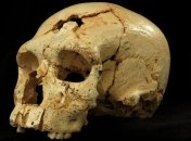 В Испании обнаружены следы убийства возрастом 430 тыс лет