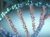 Ученые обнаружили новую форму молекулы ДНК