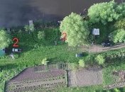 Массовое убийство в лесу Житомирской области: полиция открыла дело