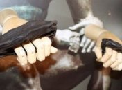 В Британии нашли боксерские "перчатки" времен Римской Империи