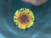 Иммунные клетки уничтожают резистентные бактерии еще в момент их "высадки"