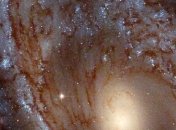 Телескоп Hubble сделал впечатляющее фото галактики, находящейся в 100 млн световых лет от Земли