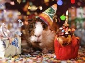 Поздравления с Днем рождения: открытки и стихи на 15 января