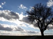 Начало недели в Украине будет теплым 