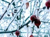 Какой праздник 22 января: народные приметы и запреты