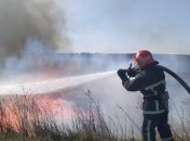 Пожар в зоне отчуждения: какова ситуация с радиационным фоном в столице
