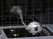 Почистить чайник от налета очень просто