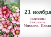 Какой сегодня день: приметы, именины, лунный календарь на 21 ноября 2016