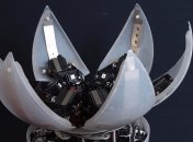 Создан катающийся робот-трансформер