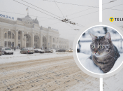 Погода в Одесі