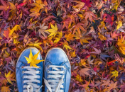 Загадки про осінь для дітей