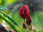 На Украину надвигается грозовой фронт, который проявит себя в большинстве областей