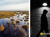 Коллаж, "Телеграф"