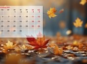 Ноябрь - золотое время года