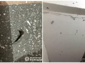 Место происшествия