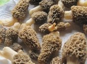 В Испании женщина отравилась ужином в мишленовском ресторане и умерла