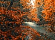 Какой праздник 12 ноября: народные приметы и запреты