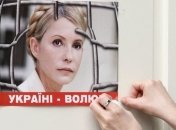 Вопрос помилования Тимошенко зашел в тупик: комиссия молчит