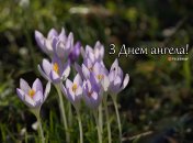 Разобрались, кого поздравляем с Днем ангела 24 марта