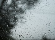 Прогноз погоды в Украине на 29 апреля: дожди на востоке и юге