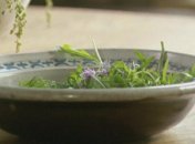 Брускета из трав