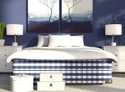 Какие комнатные цветы можно держать в спальне (Фото)