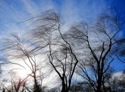 Ветер повлиял на электроснабжение