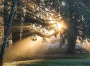 31 января - приметы и обряды в Афанасьев день