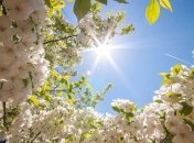 Українці отримають можливість насолодитися травневим теплом