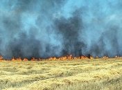 При сжигании жнивья в Тернопольской области погибли 2 человека