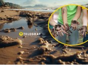 В Запорожье показали последствия обмеления Днепра