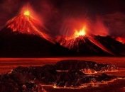 Планету Земля ожидает новая волна вымирания