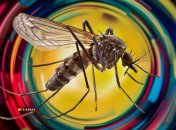 Необов’язково купувати репелент