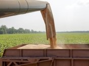 Украина исчерпала квоты на поставки пшеницы и кукурузы в ЕС 