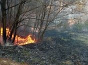 В Броварах произошел пожар из-за поджога травы (Фото)