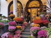 "Кловський сад" не просто крамниця квітів, це творчий простір