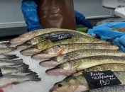 Цены на рыбу в Украине изменились
