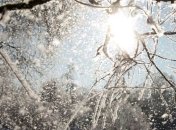 Прогноз погоды на 31 января: в Украине похолодает, местами снег 