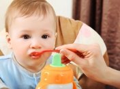 С чего начинать прикорм весной