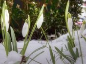 Прогноз погоды на 22 марта в Украине: ночью мороз, днем оттепель