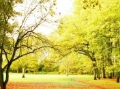 Прогноз погоды на 13 сентября: в Украине будет умеренно тепло 