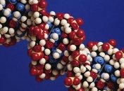 Экспрессию генов ученым удалось проанализировать в отдельных клетках