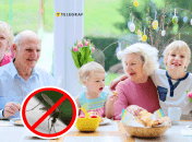 Не позволяйте насекомым портить ваш отдых